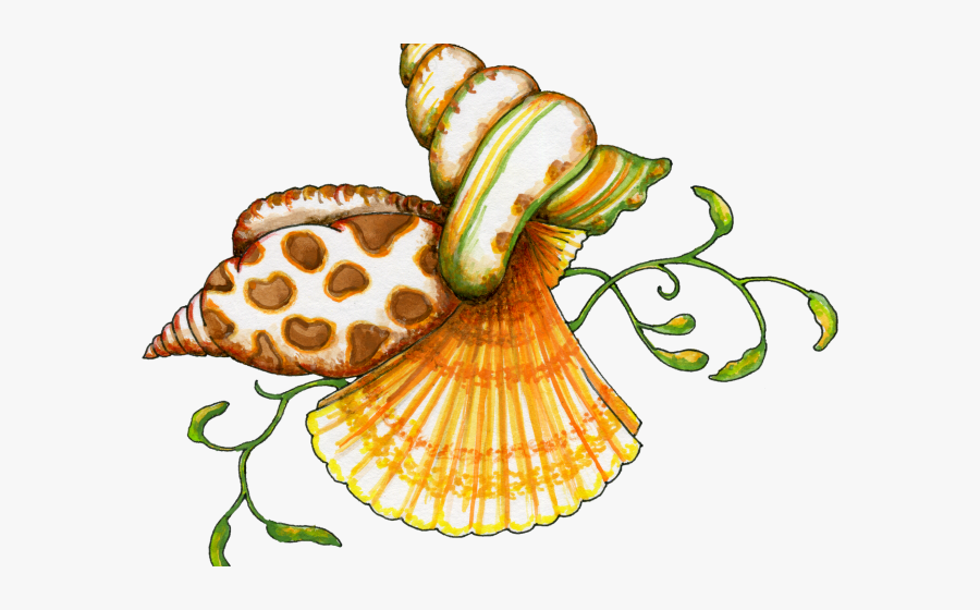 The Sea Clipart Shell - Seashell Clip Art, Transparent Clipart