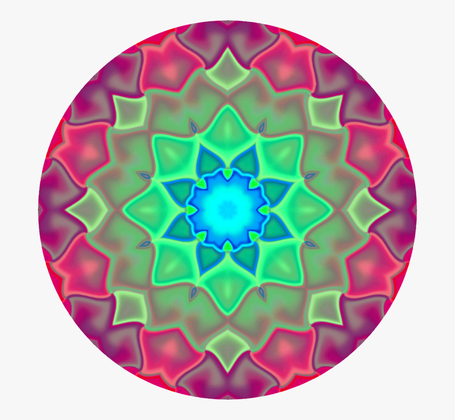Symmetry,circle,organism - Light Mandala Png, Transparent Clipart