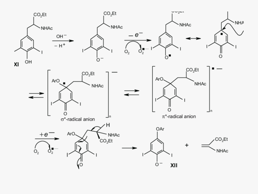 Possible Mechanism Of The Oxidative Condensation Of - Mechanism Of Protocatechuic Acid, Transparent Clipart