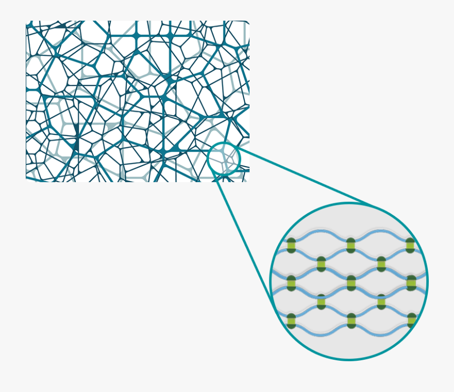 Circle, Transparent Clipart