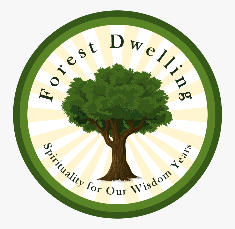 Elm, Transparent Clipart