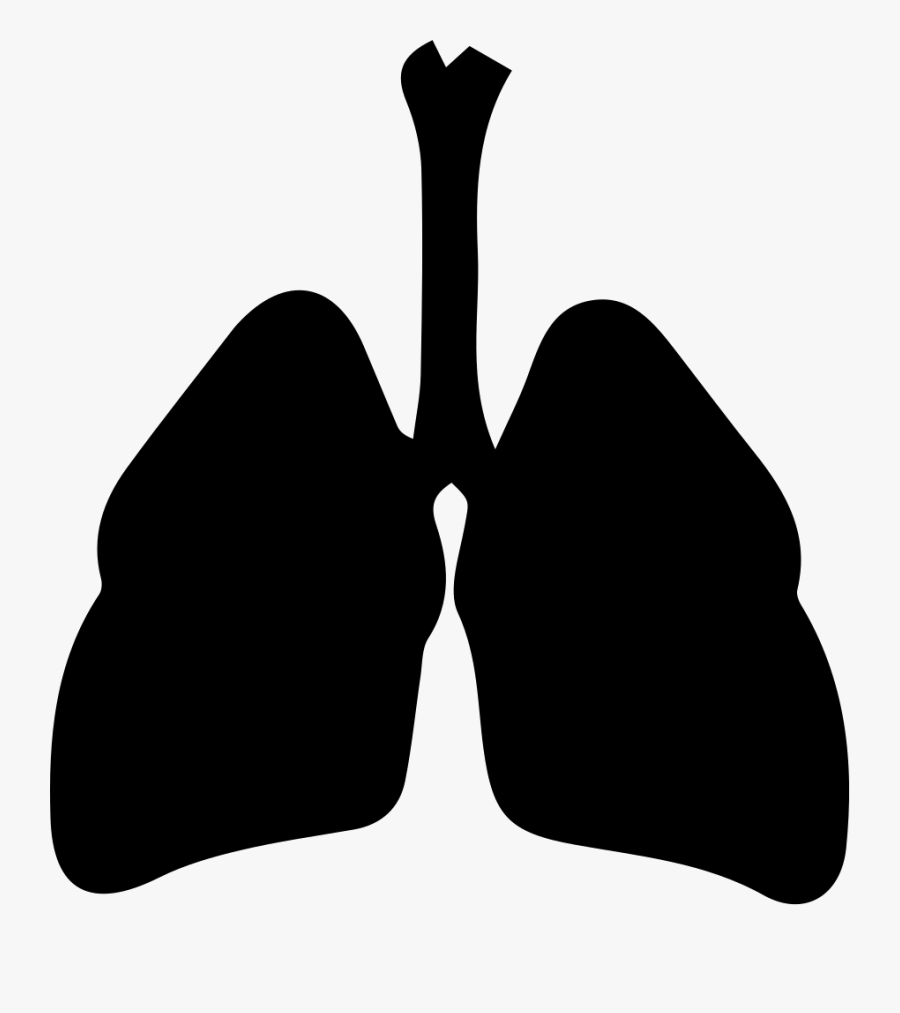 Respiratory System - Svg Respiratory System Png, Transparent Clipart
