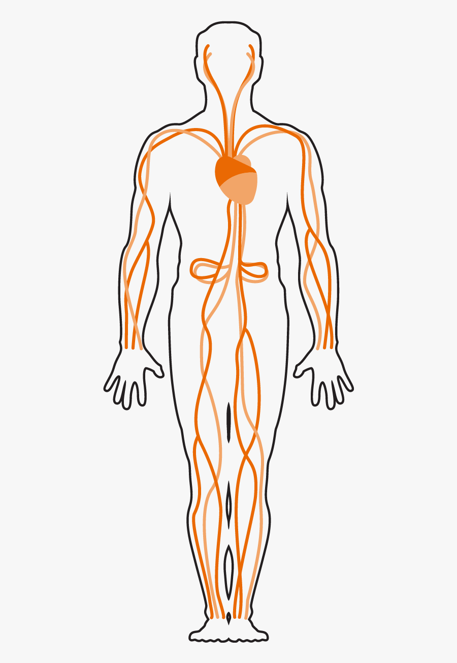 Choking Agents Affect The Body"s Respiratory System, Transparent Clipart