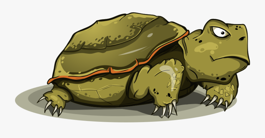 Turtle, Animals, Funny, Green - Turtle, Transparent Clipart