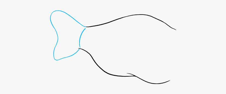 How To Draw Angler Fish, Transparent Clipart