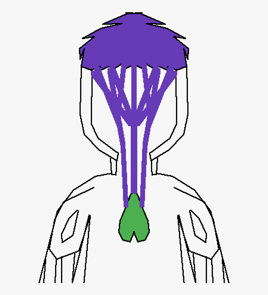 Illustration, Transparent Clipart