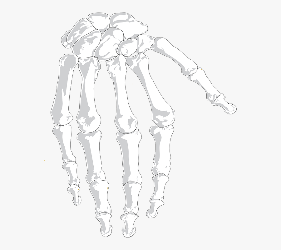Hand, Human, Bones, Gray, Anatomy, Skeleton, Medical - Cartoon Bone Hand, Transparent Clipart