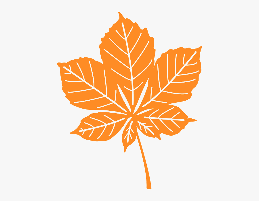 Horse Chestnut Leaf Vector, Transparent Clipart