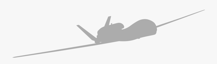 Snail, Transparent Clipart