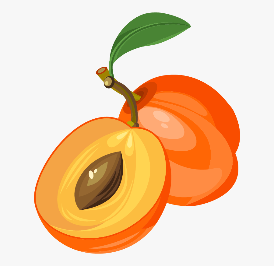 Fruit Clip Art Png, Transparent Clipart