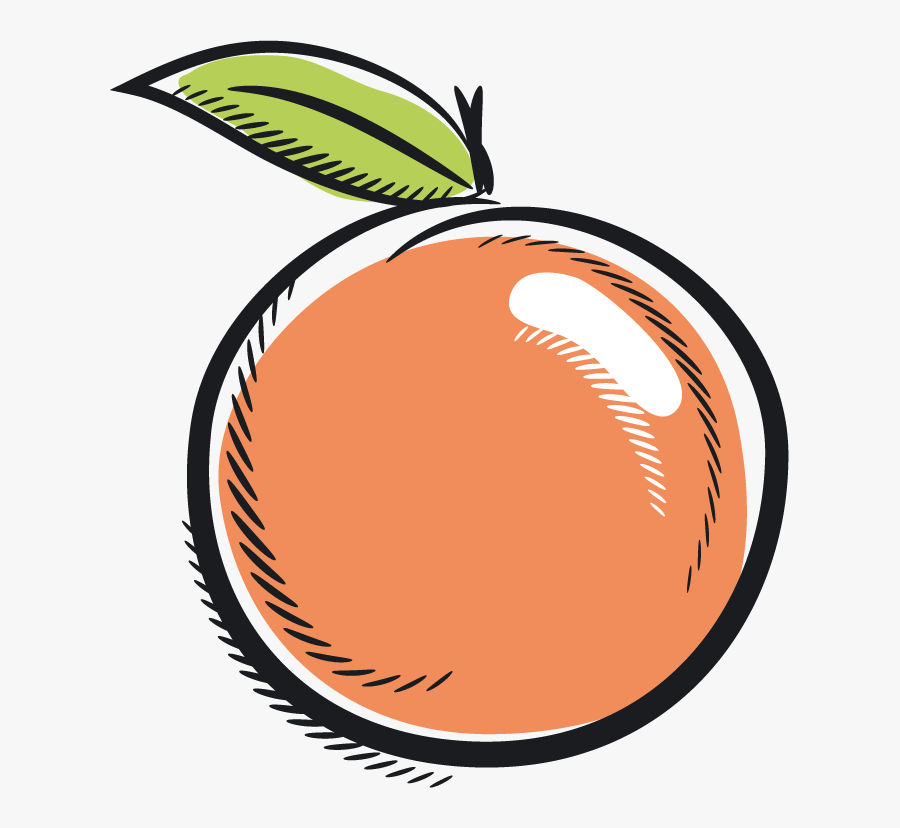 蜜 柚 卡通, Transparent Clipart