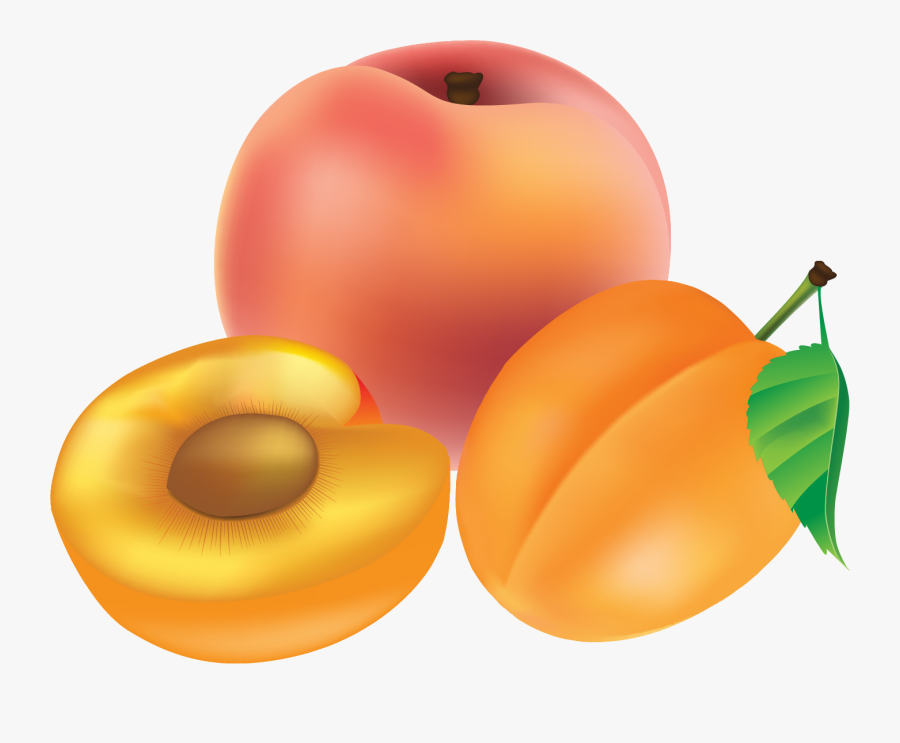 卡通 龙眼, Transparent Clipart