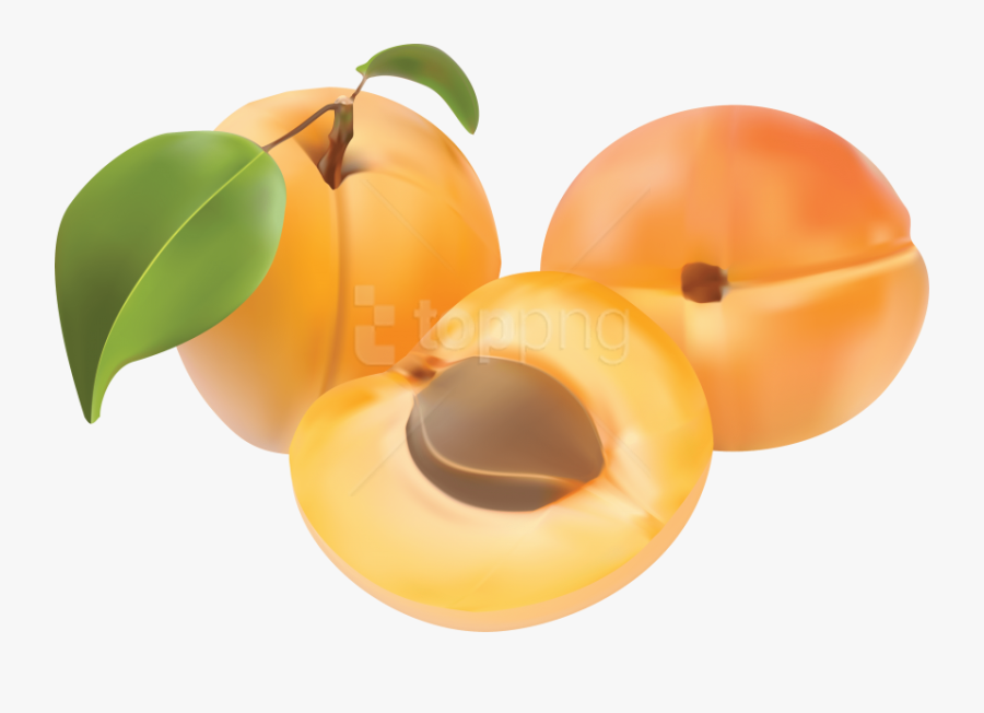 Tree,produce,prunus - Clipart Abricot, Transparent Clipart