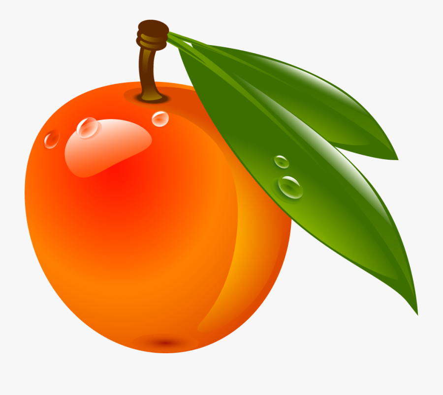 Clip Art, Transparent Clipart