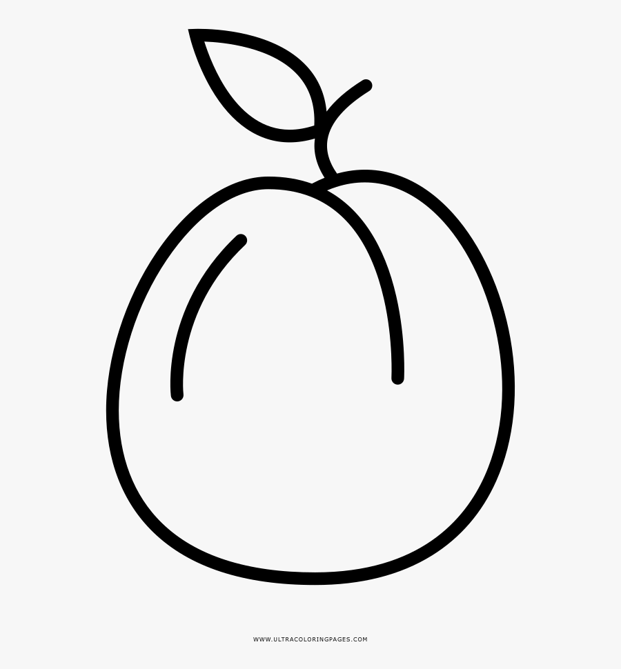 Apricot Coloring Page - Line Art, Transparent Clipart