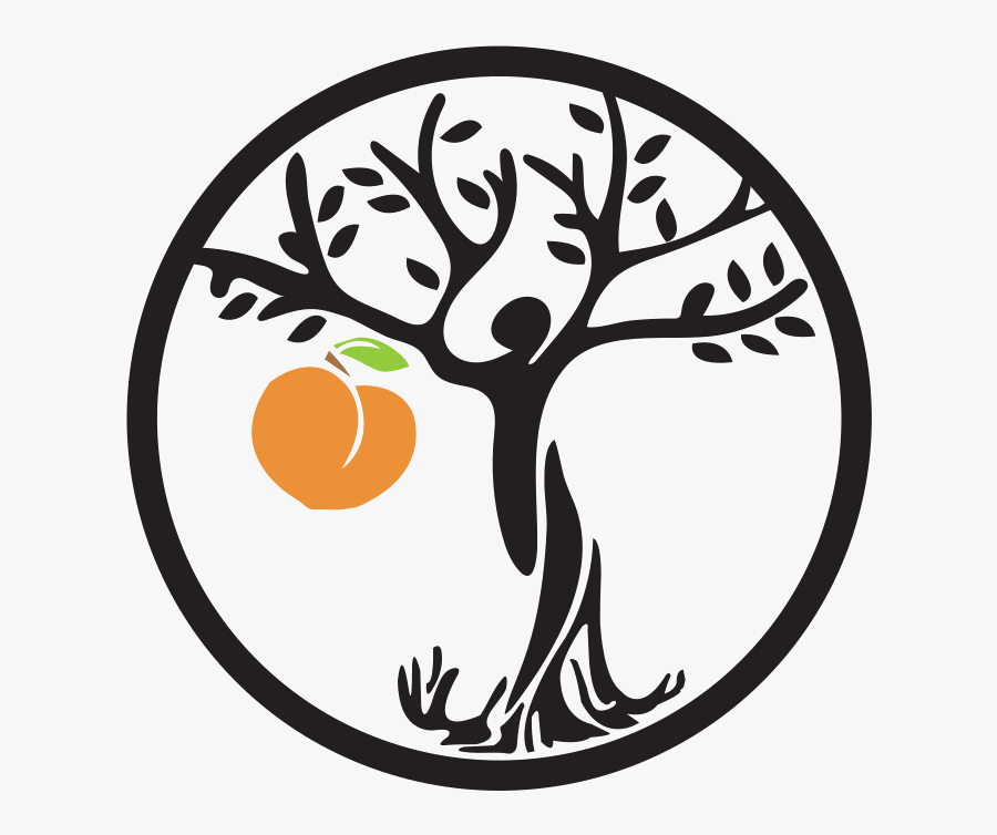 Circle, Transparent Clipart