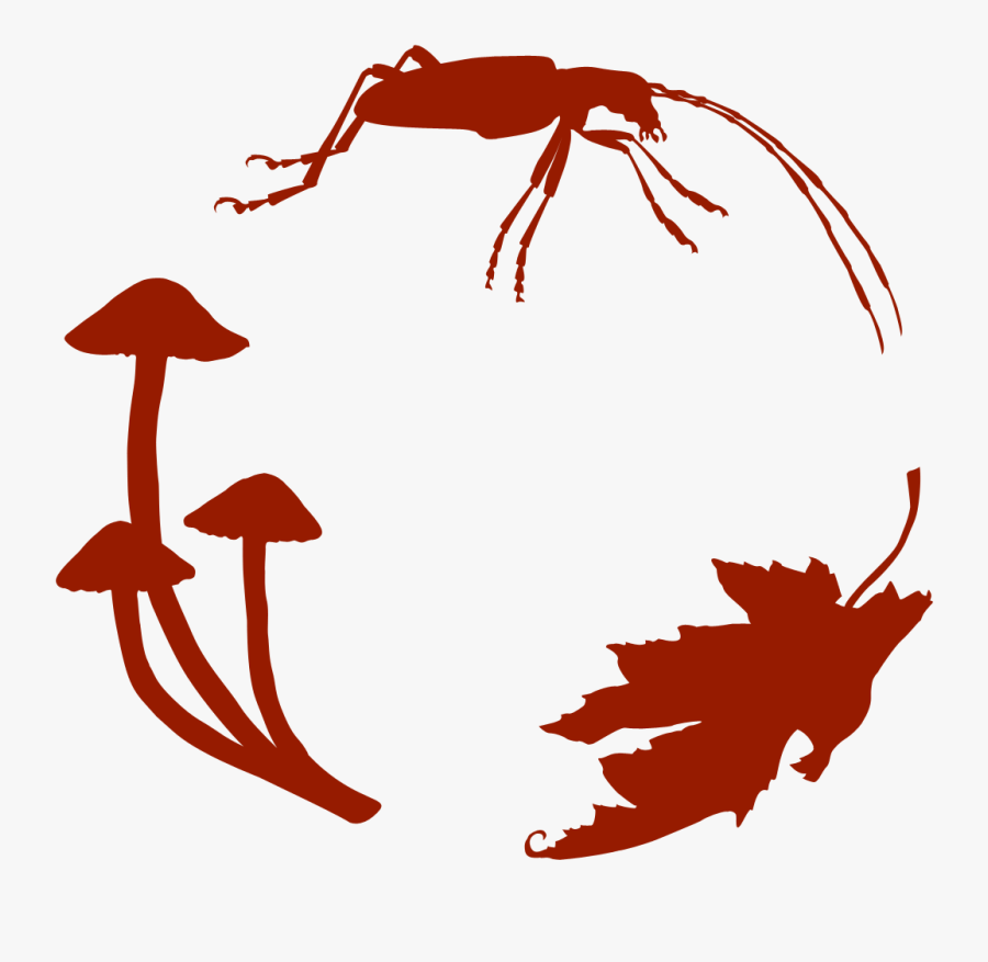 Cross Hairs Clip Art, Transparent Clipart