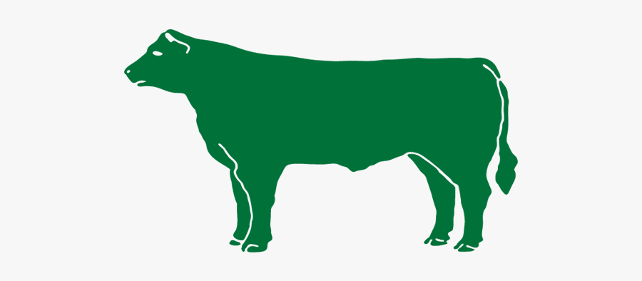 Beef - Cattle, Transparent Clipart