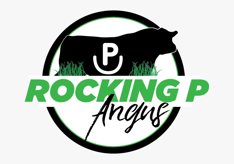 Image - Label, Transparent Clipart