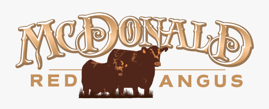 Poster, Transparent Clipart