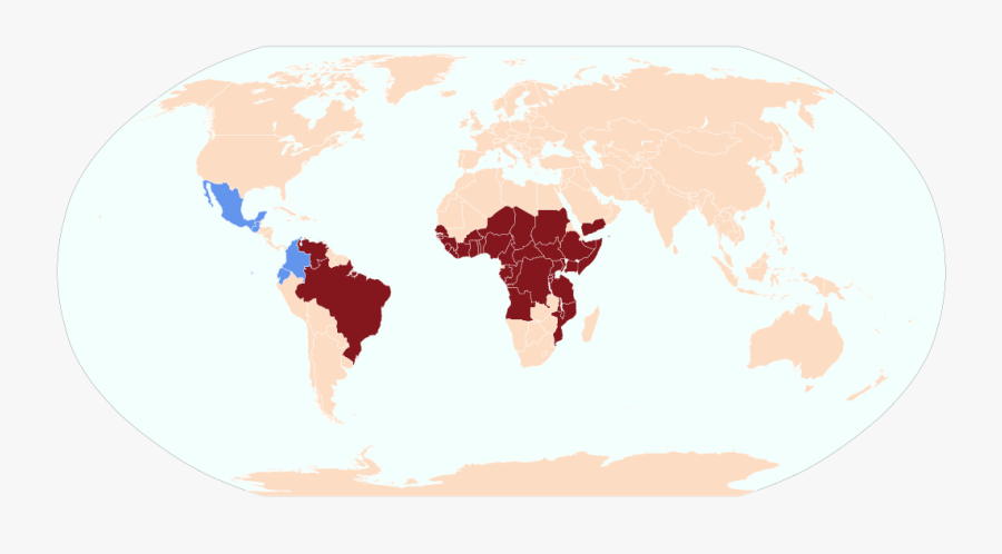Moroccan Passport Free Visa, Transparent Clipart