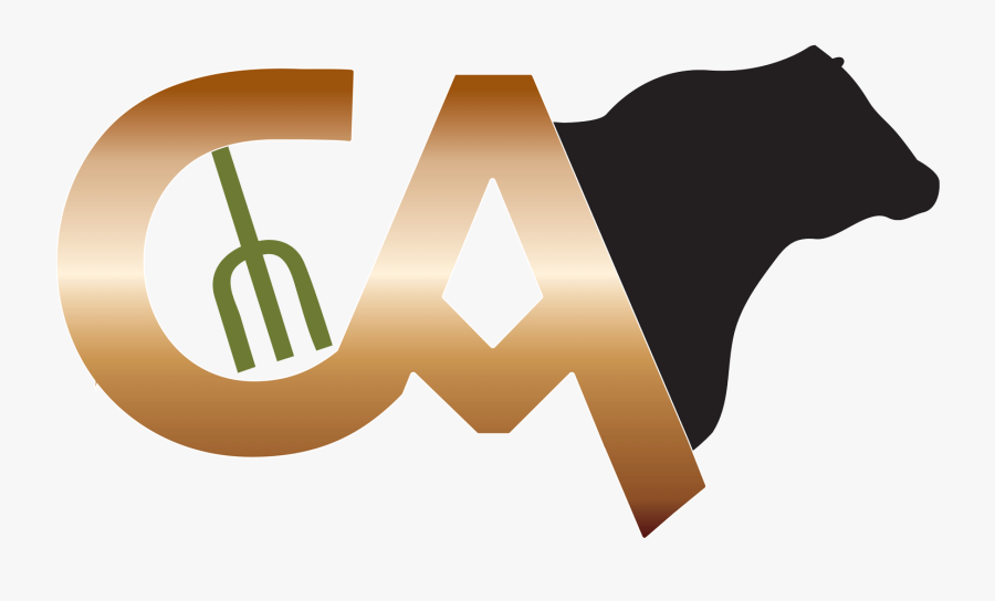 Graphic Design, Transparent Clipart