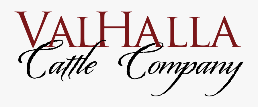 Calligraphy, Transparent Clipart