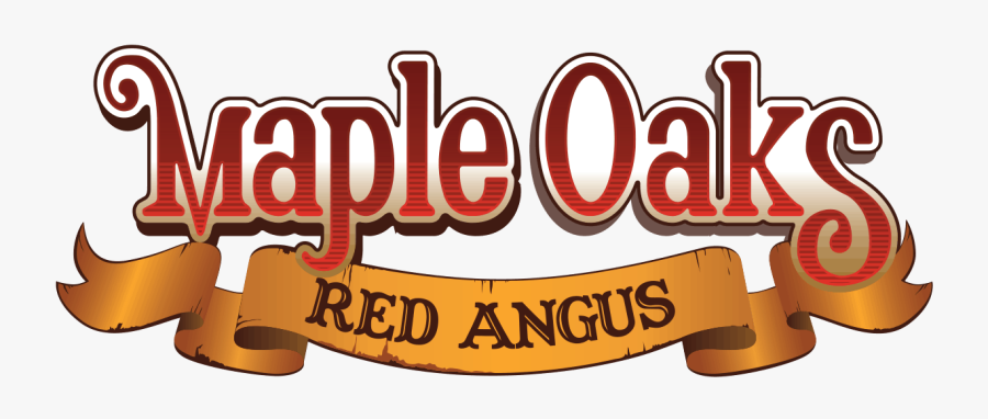 Image - Healy Mac's, Transparent Clipart