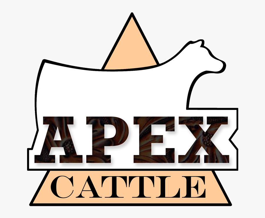 Apex Cattle - Lowe Engineers, Transparent Clipart