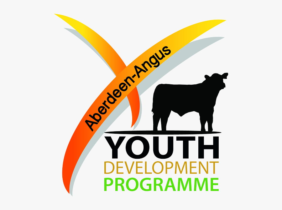 Bull, Transparent Clipart