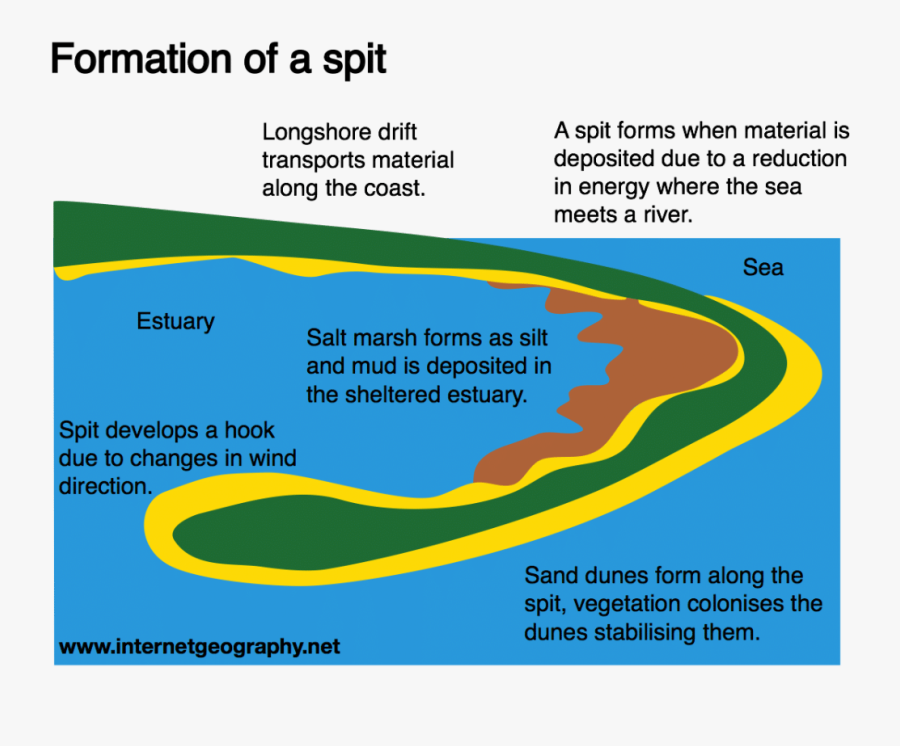 Salt Marshes Formation, Transparent Clipart