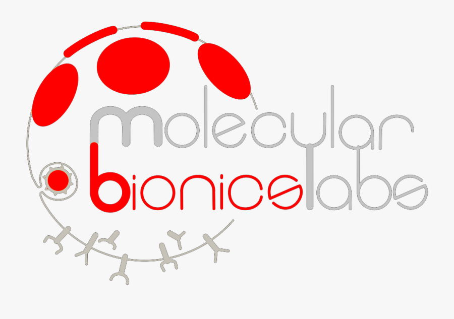 Picture - Circle, Transparent Clipart