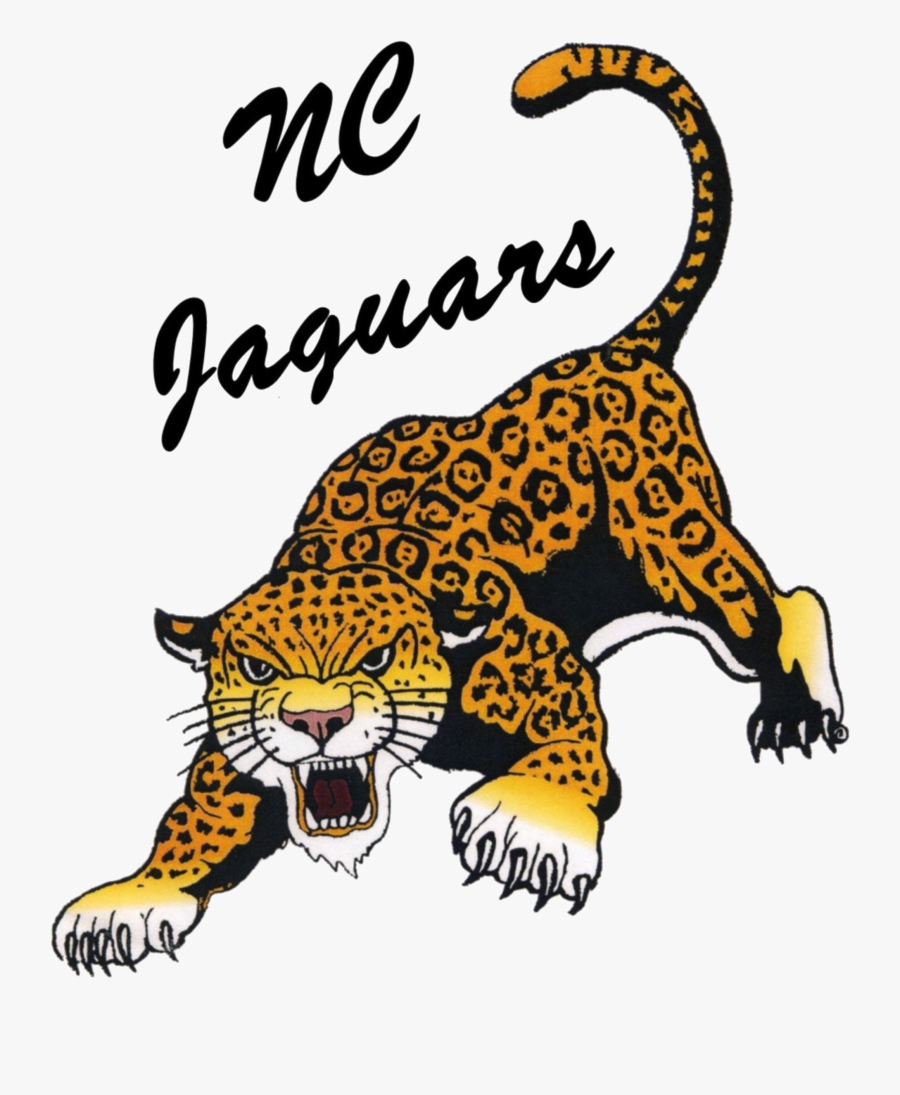 Northern Cass Middle School, Transparent Clipart