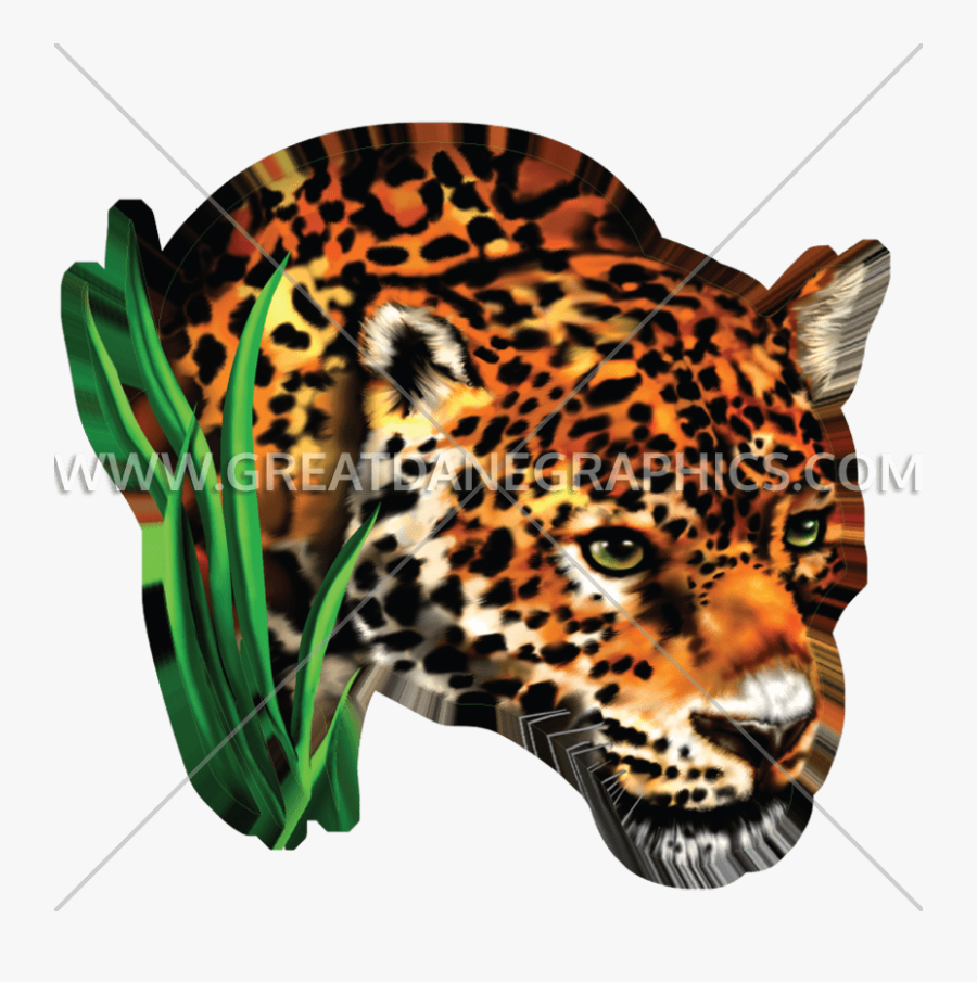 African Leopard, Transparent Clipart