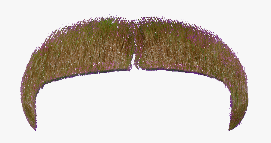 Download Moustache Png File - Transparent Freddie Mercury Mustache Png, Transparent Clipart
