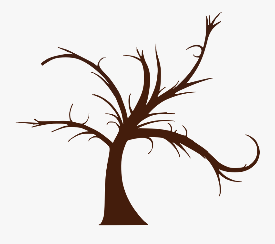 Transparent Tree Art Png - Tree Graphic Organizer Design, Transparent Clipart