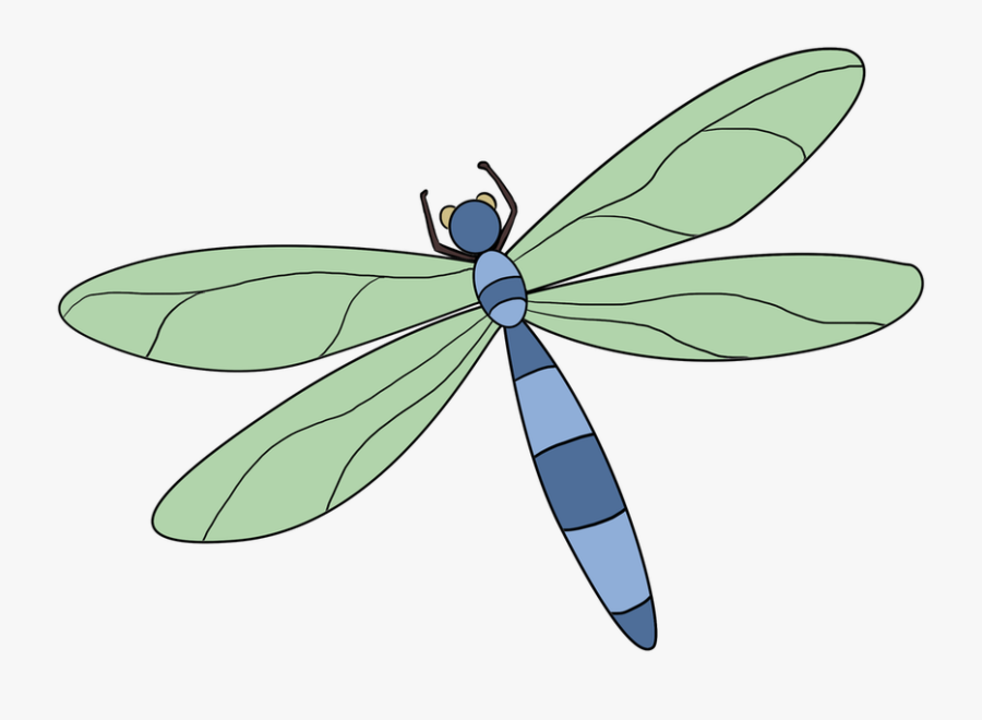 Dragonfly Transparent Easy - Dragonfly Drawing, Transparent Clipart