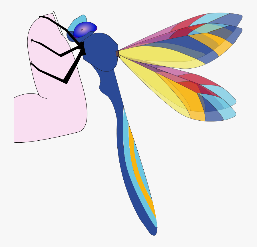 Clip Art, Transparent Clipart