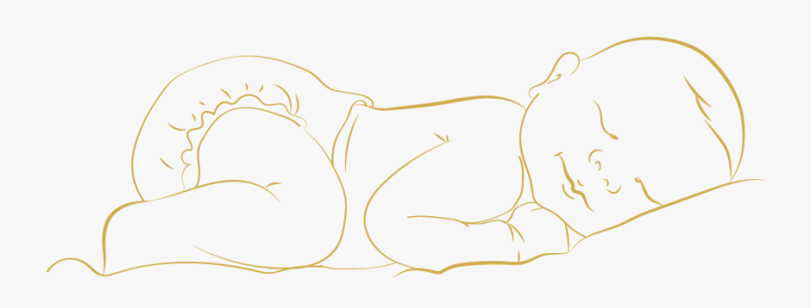 Sketch, Transparent Clipart