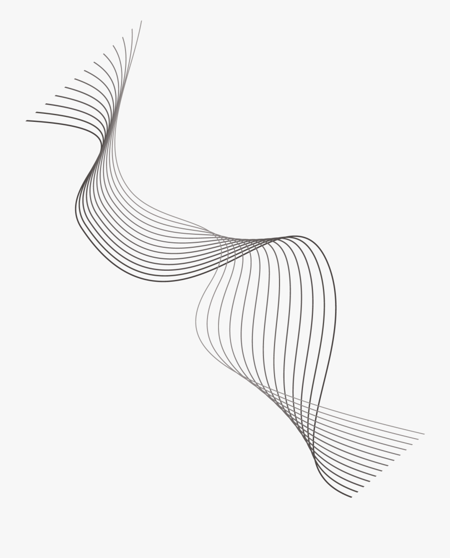 Line Art, Transparent Clipart