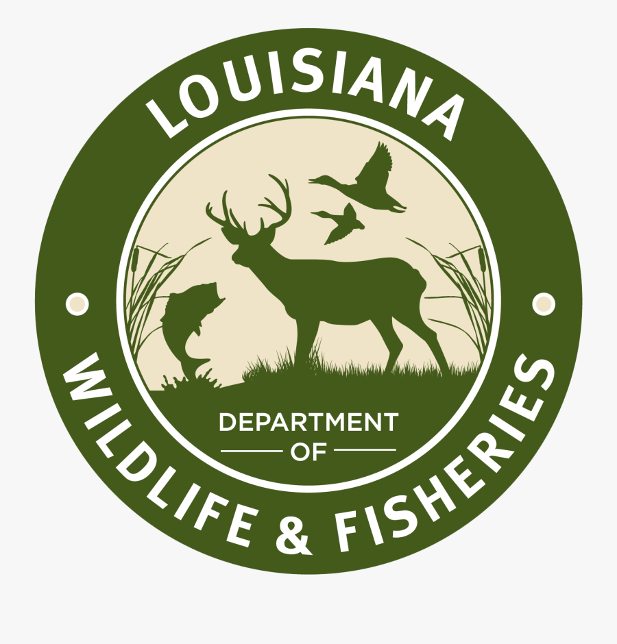 Louisiana Wildlife And Fisheries Logo, Transparent Clipart