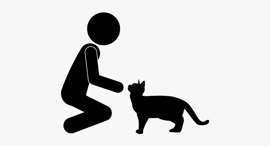 Sokoke, Transparent Clipart