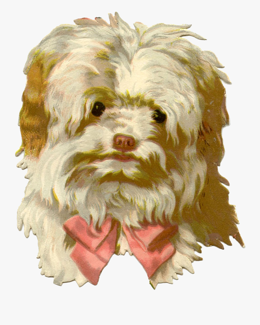 Puppy, Transparent Clipart