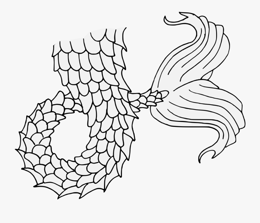 Line Art, Transparent Clipart