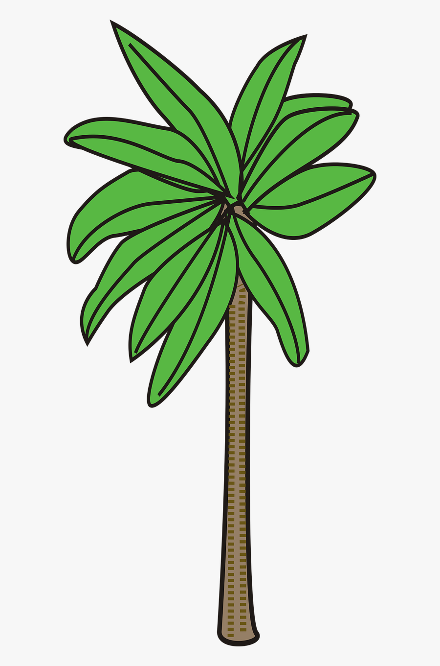 Palm Plant Tree Free Picture - Desain Gambar Pohon Kurma, Transparent Clipart