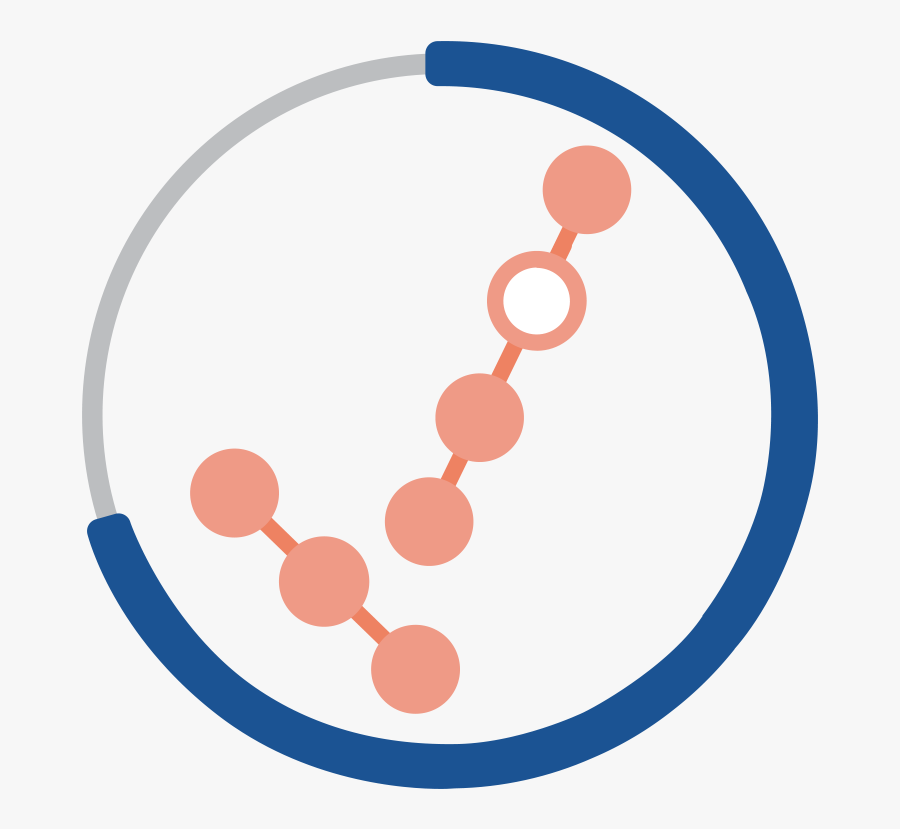 Synthesize The Evidence - Circle, Transparent Clipart