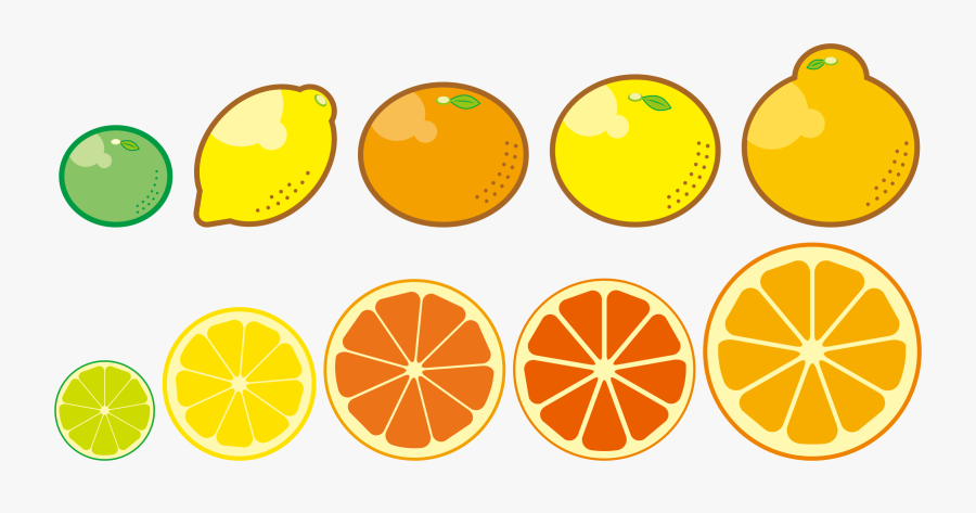 Clipart Fruit Lemon - Citrus Trees Clip Art, Transparent Clipart