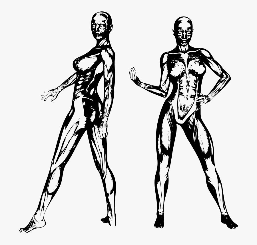 Muscle Woman Silhouette , Transparent Cartoons - Muscle Female Silhouette, Transparent Clipart