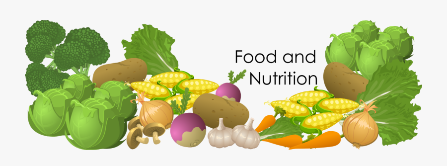 Food And Nutrition Png, Transparent Clipart