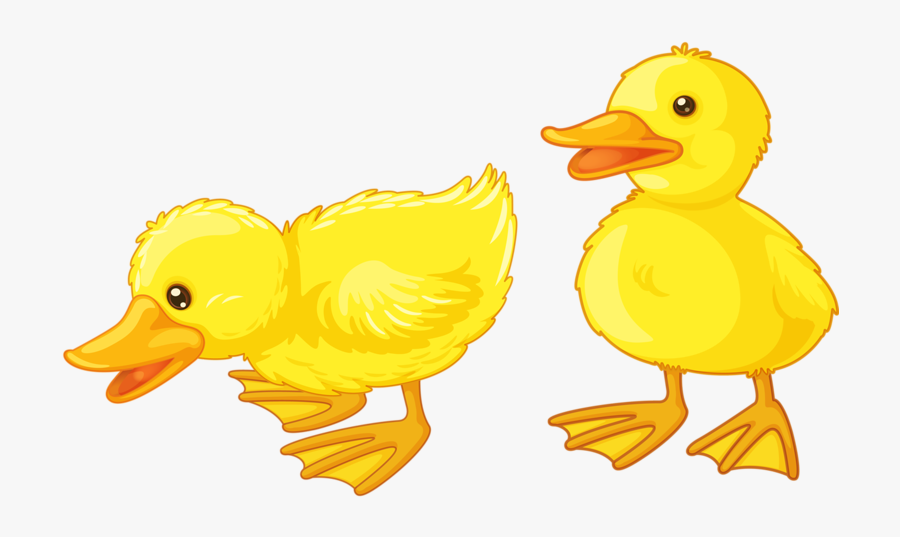 Duckling Clipart, Transparent Clipart